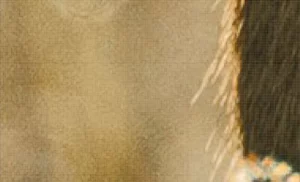 نمایش پیکسل ها در یک تصویر